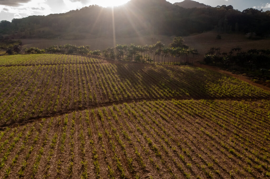 Valorisation des déchets organiques : le Compost pour améliorer la qualité et la fertilité des sols