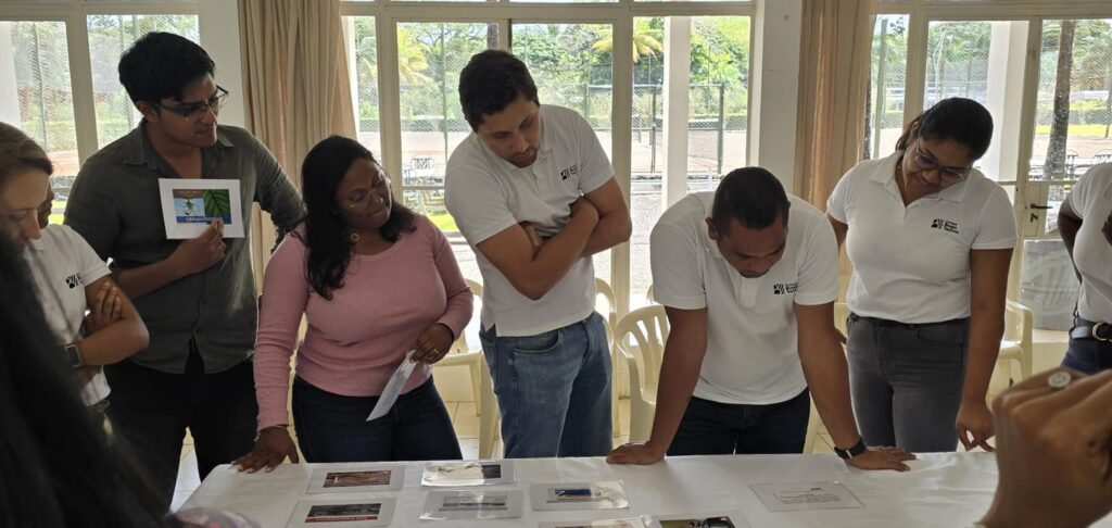 Groupe Beau Vallon : les employés formés à la Fresque de la Biodiversité : Comprendre, Agir, et S’engager