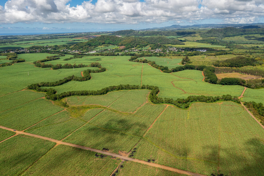 La coupe démarre pour Beau Vallon Agri-Business